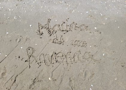Strand und Pinienwald
