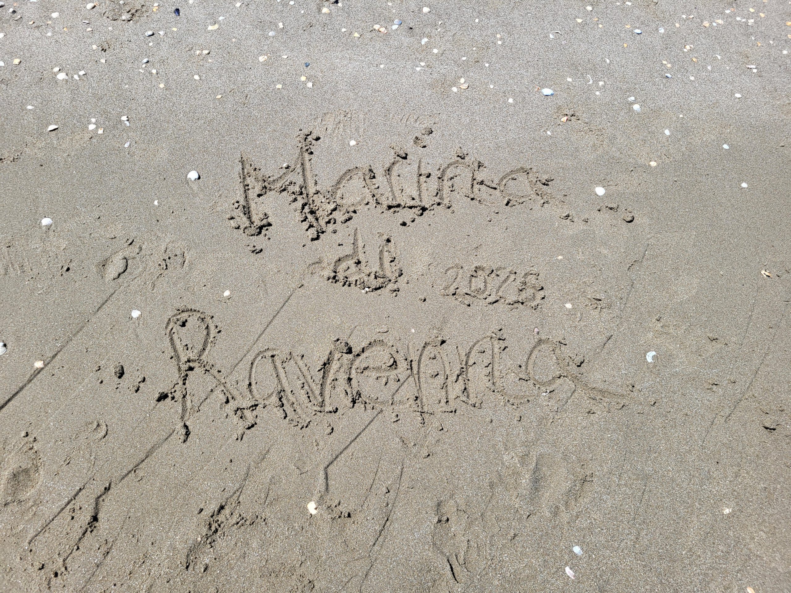 Strand und Pinienwald